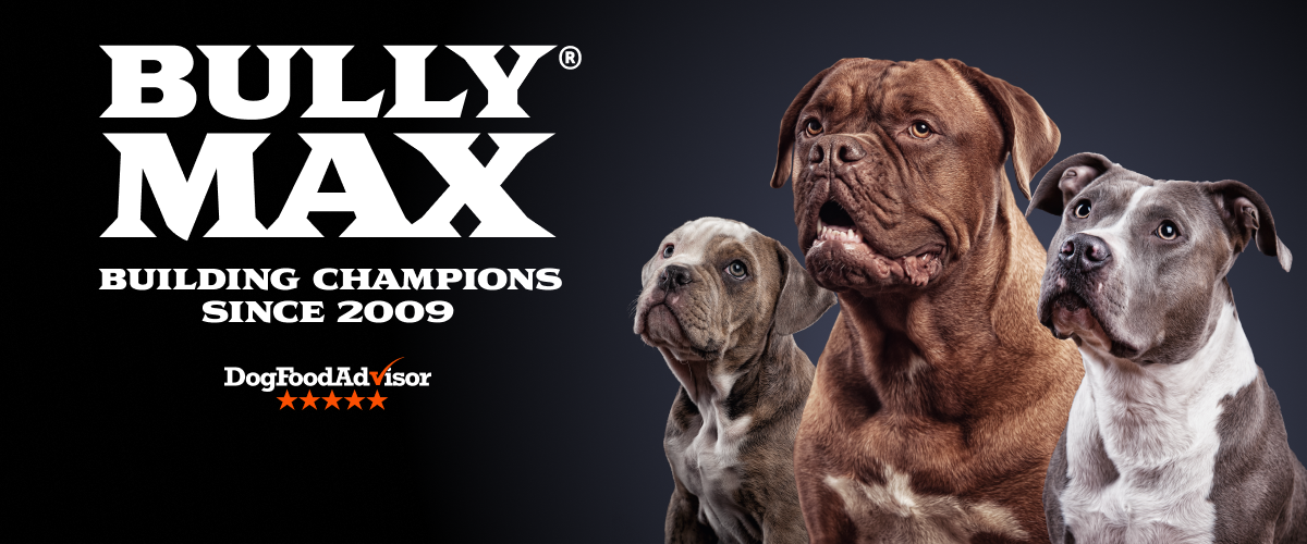 غذا خشک سگ های بالغ بولی مکس